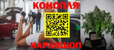 ALPHA PVP Новозыбков
