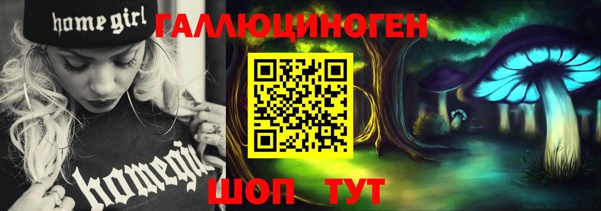 Галлюциногенные грибы Psilocybe  Вход с VPN  Сосновый Бор 