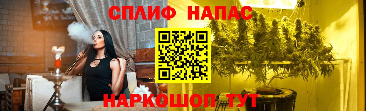 Сосновый Бор  МАРИХУАНА гибрид  Конопля гибрид  Вход с VPN  Канабис THC 21% 